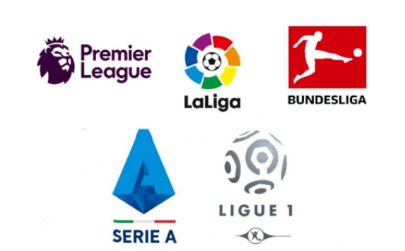 从跳水的动 从跳水的动